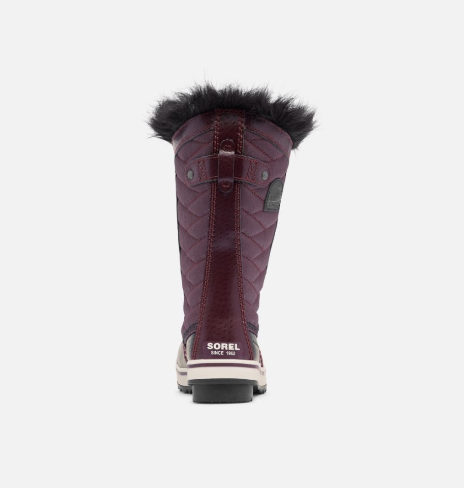 Youth Tofino Ii Boot Epic Plum Sorel