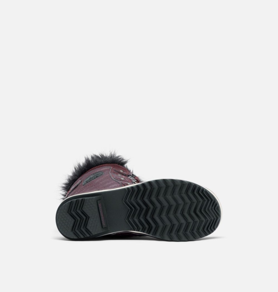 Youth Tofino Ii Boot Epic Plum Sorel